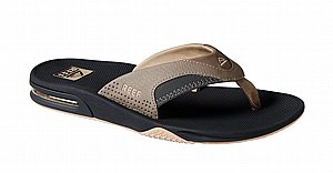 ����� ����� Fanning Fossil Raven