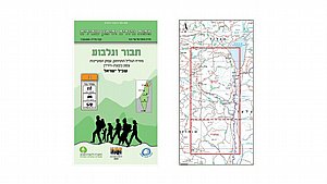 ���� ������: ��� ������ ������ ������  �� 3