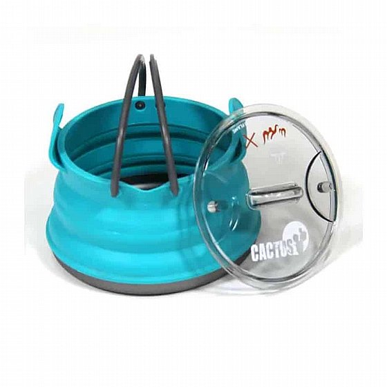 ������ ������� ����� Cactus