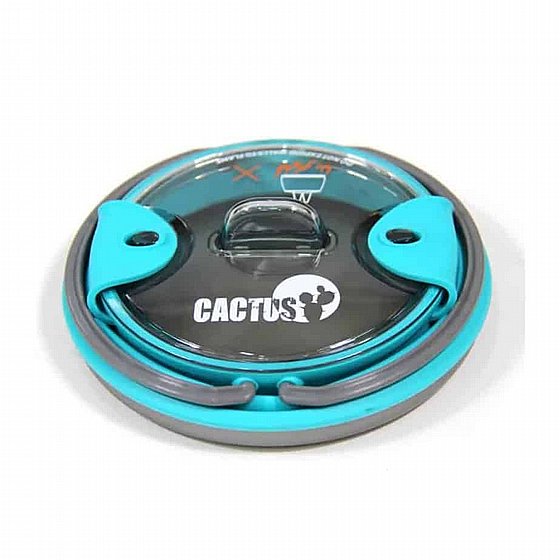 ������ ������� ����� Cactus