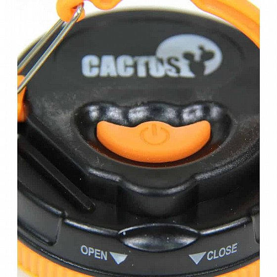 ��� �����  Cactus