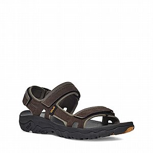 ����� ����� ���  HUDSON ��� | TEVA