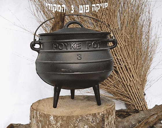 ��� ����� 6 MJP