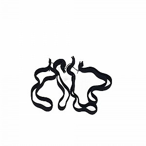 ���� ��������