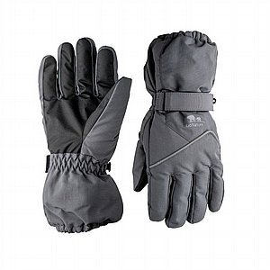 ����� ���� SPIDER ���� | GO NATURE